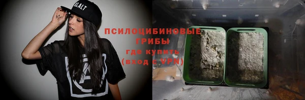 героин Ельня
