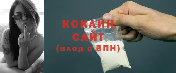молекула духа Елабуга