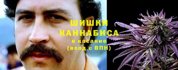 героин Ельня