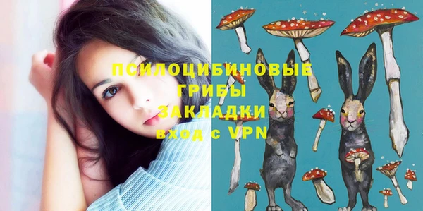 героин Ельня