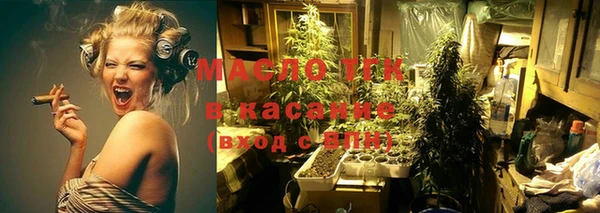 молекула духа Елабуга