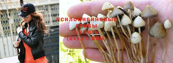 молекула духа Елабуга