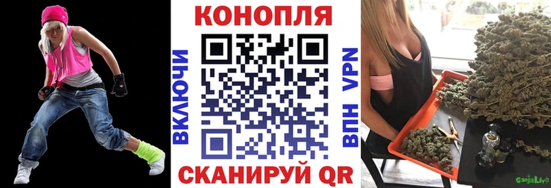 Купить где  Луга  Канабис Bruce Banner 